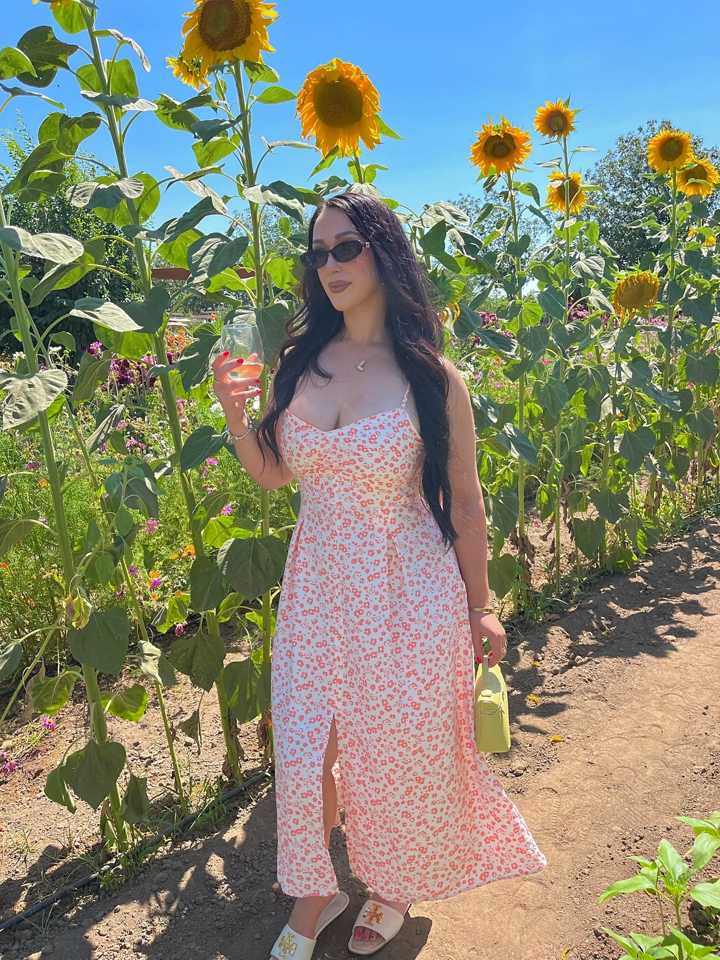 Summer in Paris Dress