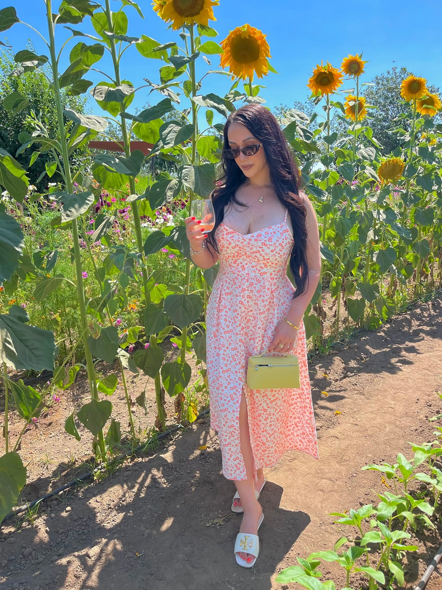 Summer in Paris Dress